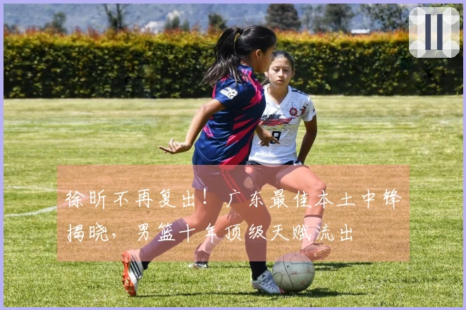 徐昕不再复出！广东最佳本土中锋揭晓，男篮十年顶级天赋流出